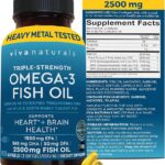Omega 3 Fish Oil Supplement for Women and Men - 2500 mg Triple Strength Fish Oil Pills with Re-Esterified Omega 3 Fatty Acids including EPA, DHA DPA - 180 Pescatarian-Friendly Softgels