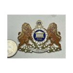 big pin 1986 HOST - ARLINGTON VA VIRGINIA Vintage Lions Club Pin - lapel hat