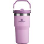 Stanley IceFlow Flip Straw Tumbler with Handle 20 oz | Twist On Lid and Flip Up Straw | Leak Resistant Water Bottle | Insulated Stainless Steel |BPA-Free | Lilac