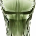 Jean Paul Gaultier Le Beau Paradise Garden Eau de Parfum for men, 4.2 Ounce