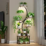 Plant Stand Indoor with Grow Lights, 8 Tiered Indoor Plant Shelf, 62" Tall Plant Stand for Indoor Plants Multiple