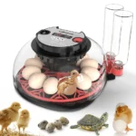 100-240V with Flashlight for Automatic 12H Chicken Quail Egg Incubator Temperature and Humidity Display Automatic Egg Turning