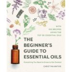 The Beginner's Guide to Essential Oils: Everything You Need to Know to Get Started
