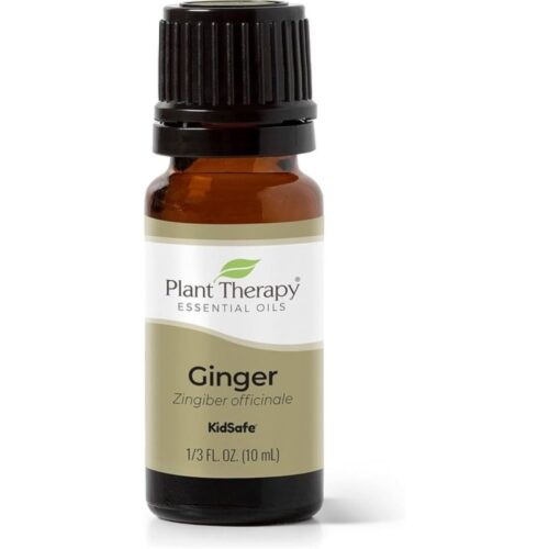 Plant Therapy Ginger Steam Distilled Essential Oil 10 mL (1/3 oz) 100% Pure, Undiluted, Natural Aromatherapy