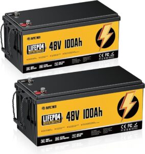 48V 100Ah LiFePO4 Battery 2 Pack, 10.24kWh Deep Cycle Rechargeable Battery with 100A BMS, 10-Year Lifetime, for RV, Solar Energy Storage, Boat, Trolling Motor, Off-Grid Backup Power