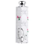Lip Gloss and Cheek Duo Set - REFY