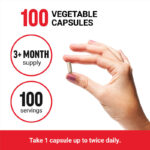 Acetyl L-Carnitine, 500 mg, 100 Vegetable Capsules
